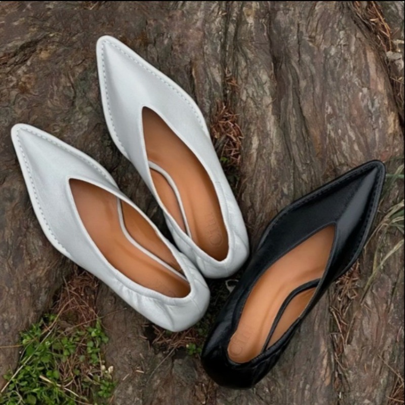 2025 New Pointed Toe Single Sh - مراجعة Women Shoes Mules وسعره